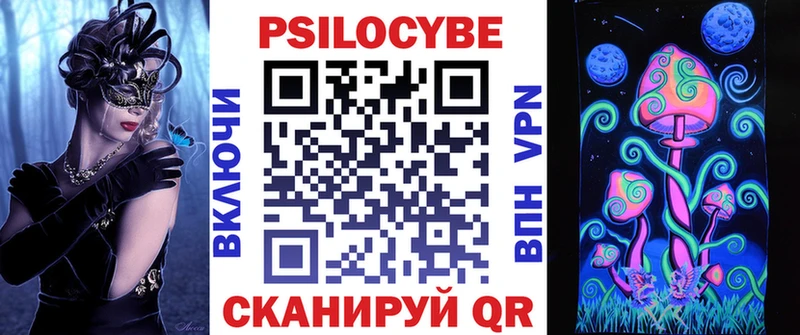 кракен зеркало  Княгинино  Псилоцибиновые грибы мицелий 